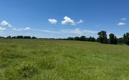 ranches for sale listing image for Ranch Land in De Kalb Texas for Sale