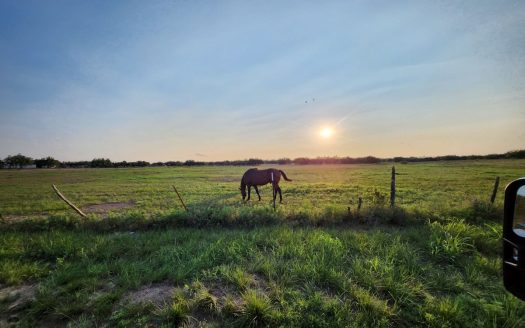 ranches for sale listing image for Texas Hunting and Livestock Ranch Near San Angelo