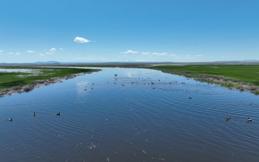 ranches for sale listing image for Eastern Oregon Silvies River Pasture