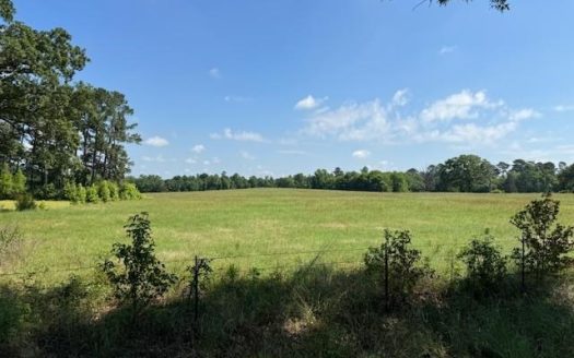 ranches for sale listing image for Equine Property Located in Morris County Texas