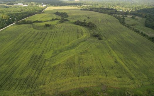 ranches for sale listing image for 518 +/- Acres in Mountain Grove