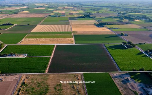 Olathe Irrigated Farm Land For Sale in Western Colorado