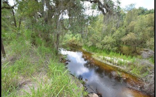 370 Acres on Charlie Creek, Zolfo Springs Florida