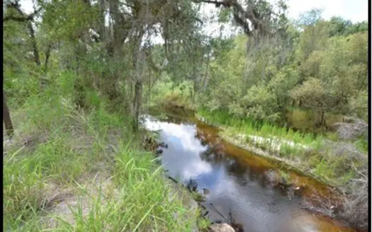 370 Acres on Charlie Creek, Zolfo Springs Florida
