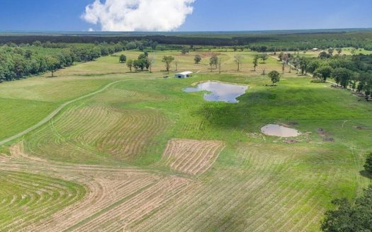 Mississippi Cattle Farm For Sale Pearl River County
