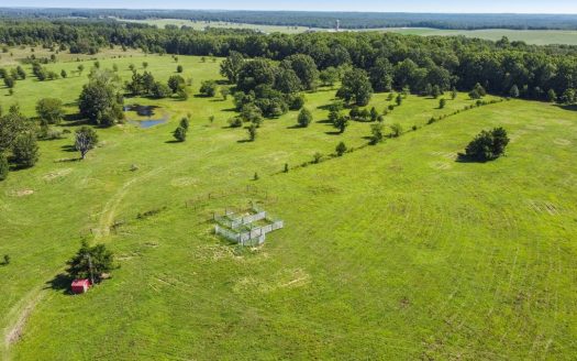 Beautiful Farm w/ Lush Pasture in West Plains, MO for Sale
