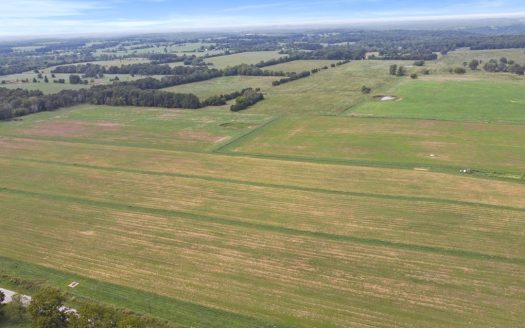 Cattle Pasture Land For Sale Howell County Southern Missouri