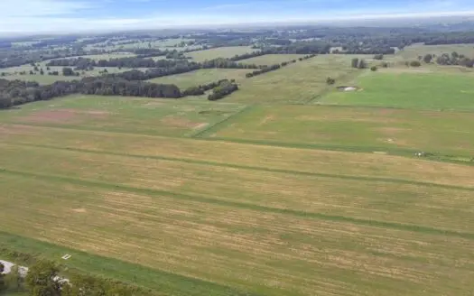 Cattle Pasture Land For Sale Howell County Southern Missouri