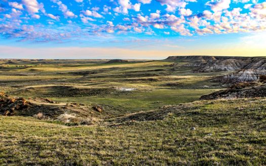 Northeastern Montana Working Cattle Ranch