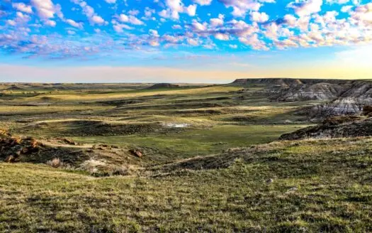 Northeastern Montana Working Cattle Ranch