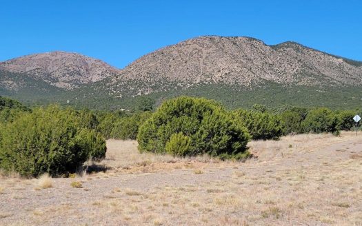 Exquisite 3-Acre Home Site in Exclusive Gated Community