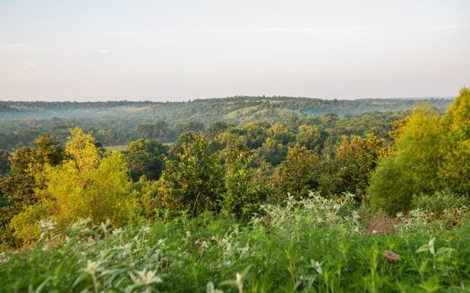 Premier Hunting & Cattle Ranch for Sale Near McAlester OK