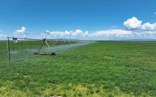 Eastern Oregon Harney Farm