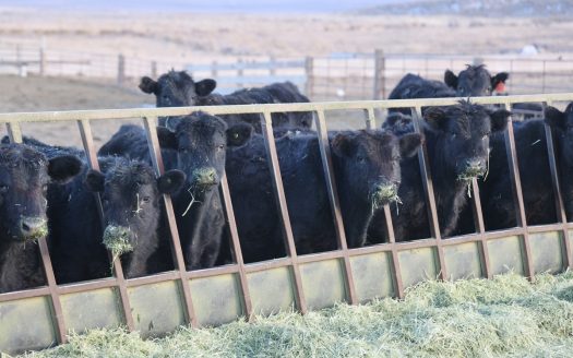 Eastern Oregon Briggs Ranch