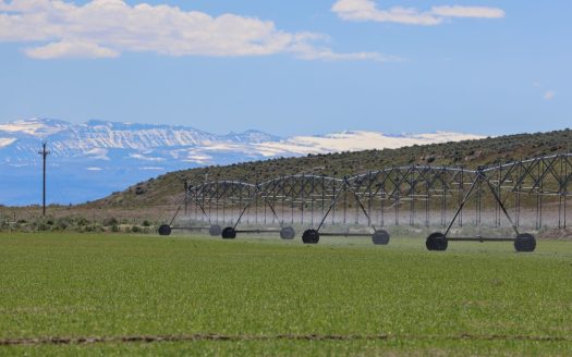 Eastern Oregon Narrows Pivots