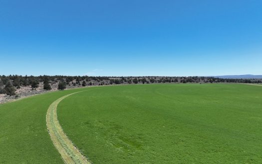 Eastern Oregon Waldron Farms