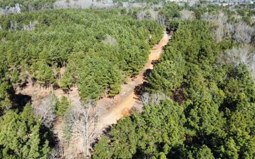 East TX Timber & Hunting Land for Sale Overton Rusk County