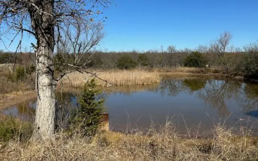 10+ Acres For Sale in Brown County TX