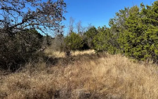 10 acres near Bangs in Brown County TX