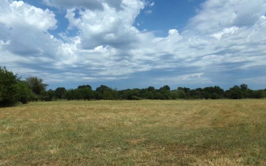 231± Acre Ranch for Sale in Lamar County, Texas – Blossom, TX