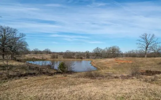 Texas Land for Sale