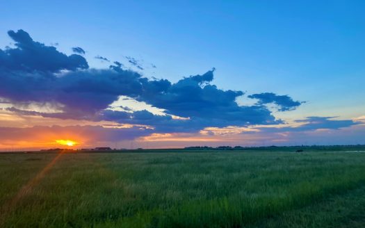 Wildorado Texas Land for Sale, Acreage in Deaf Smith County