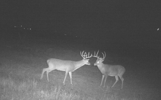 Hunting Ranch, Cattle Ranch North Texas