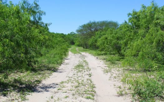 +/-160 Acres South of Kingsville that borders The King Ranch