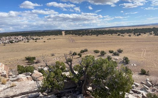 Ranchland for Sale in Northeastern Arizona borders Public Land