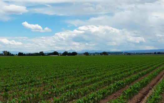 Land For Sale in Colorado with Water Rights