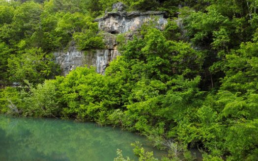 Hunting Property Surrounded by National Forest