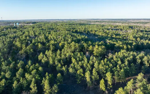 East TX Timber Hunting Land for Sale Ben Wheeler TX Van Zandt Co