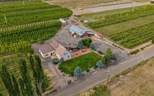 Orchard, Vineyard, Farm Property on 40 Acres, House and Water