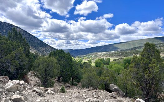 5621 Sweetwater Road – 16.56 Acres of Scenic Land in Eagle County