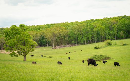 Missouri Cattle Ranch For Sale