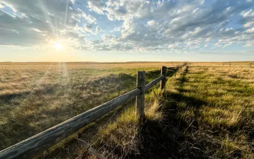 Norman Mavencamp Ranch– 2,600+ Acres Well-Managed Pasture