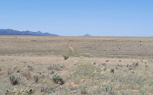 40 Acres in Santa Fe County – Horse Ranch or Custom Home