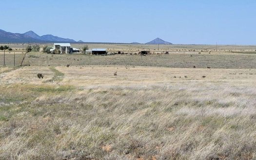 93.7 Acres in Santa Fe County – Horse Ranch or Custom Home