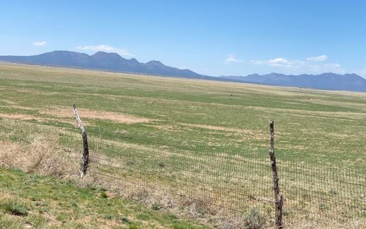 40 Acres with Mountain Views in Stanley, NM