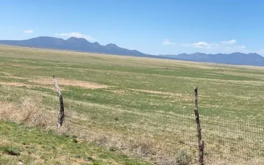 40 Acres with Mountain Views in Stanley, NM