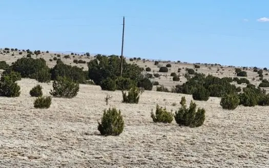 40 Acres in Estancia – No Restrictions, Mountain Views