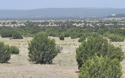 Wooded 40 Acres in Estancia with Mountain Views