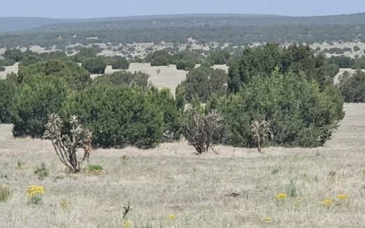 39.9 Acres in Estancia NM with Mountain Views & Good Soil