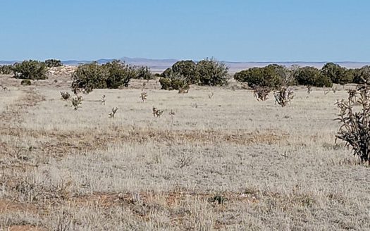79.2 Acres with Views & Road Access – Estancia, NM Land