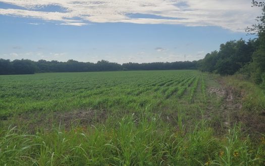 Farm, Recreational, or Pasture Land For Sale Deport TX, NE TX