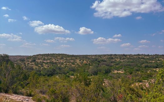 Prime Low-Fence Hunting Tract with High-Impact Wildlife