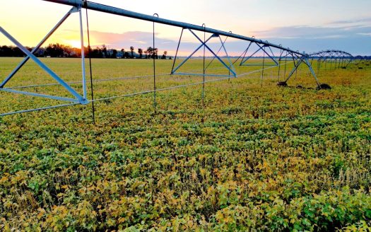 1,478 Acre Row Crop Farm in Madison Parish LA
