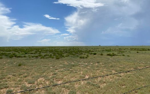 20 Acres Irrigated Land for Sale | Estancia Valley NM