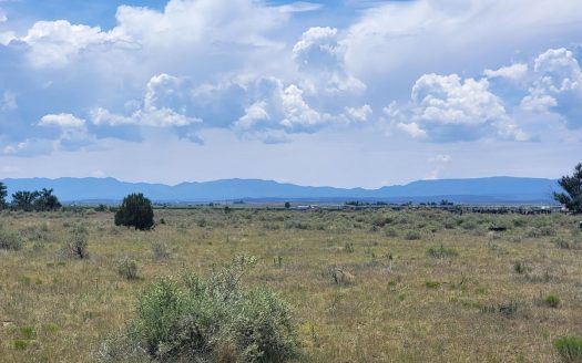 10 Acres for Sale in Estancia NM with Mountain Views
