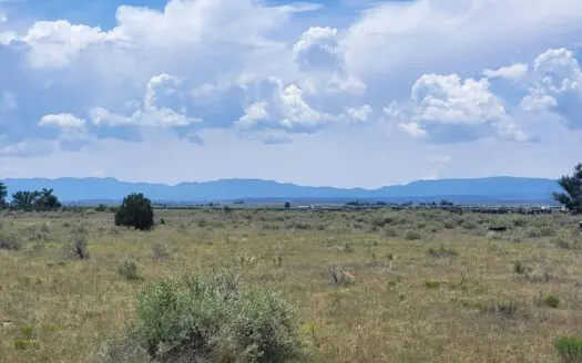 10 Acres for Sale in Estancia NM with Mountain Views